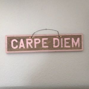 “Carpe Diem” Brandy Melville Signage